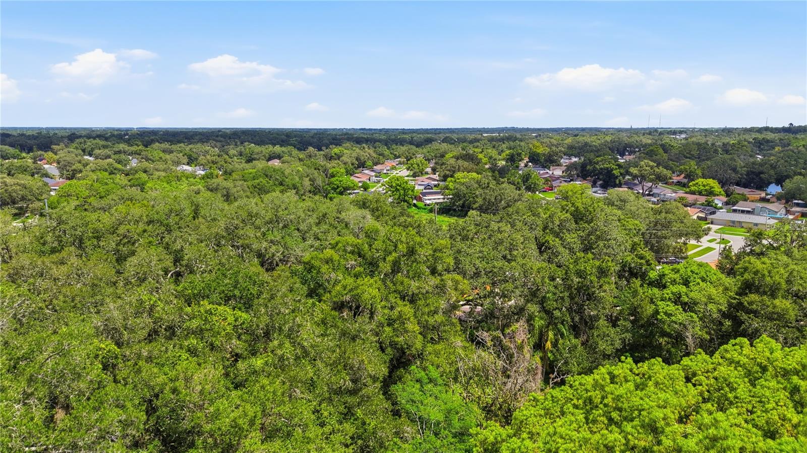 11211 CLAY PIT RD — photo 14