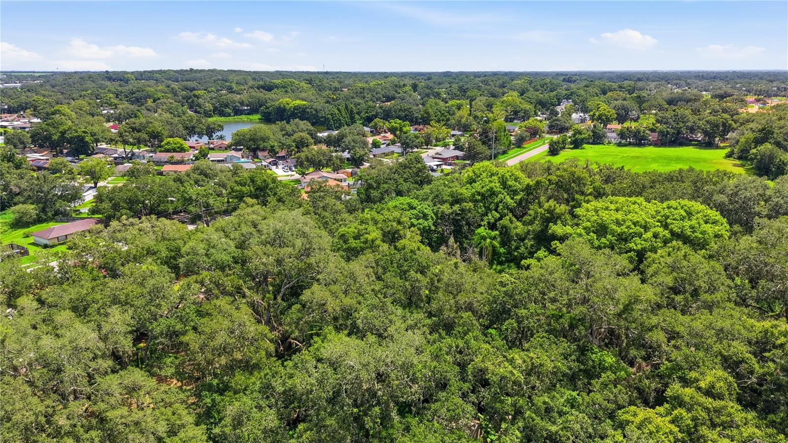 11211 CLAY PIT RD — photo 20