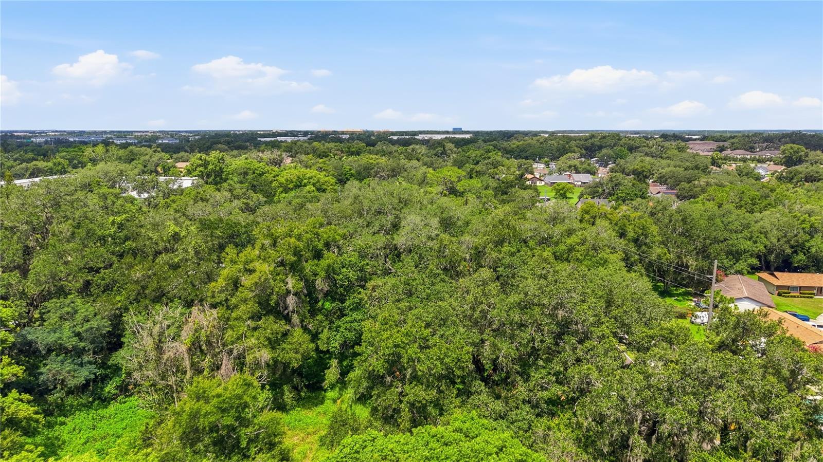 11211 CLAY PIT RD — photo 15