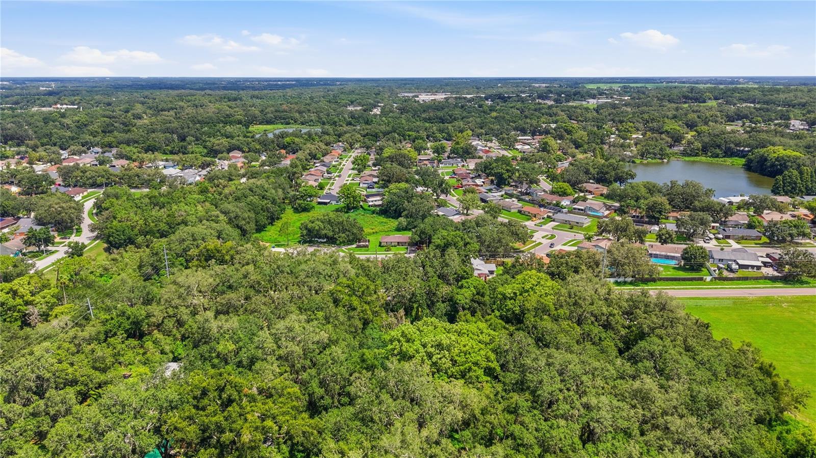 11211 CLAY PIT RD — photo 11