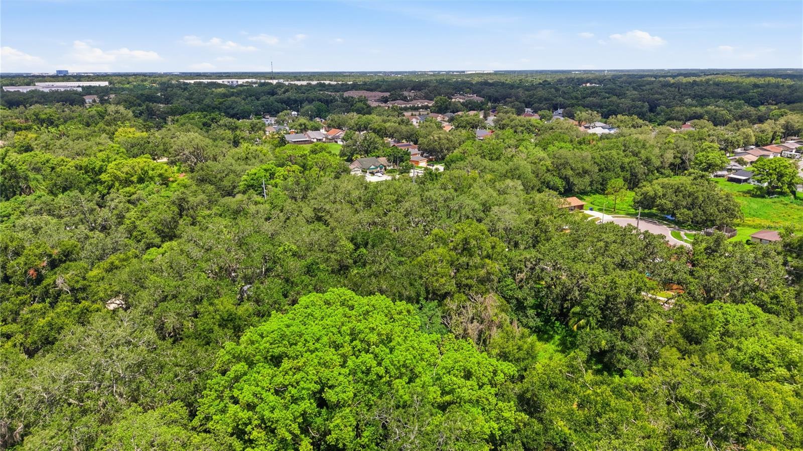 11211 CLAY PIT RD — photo 4