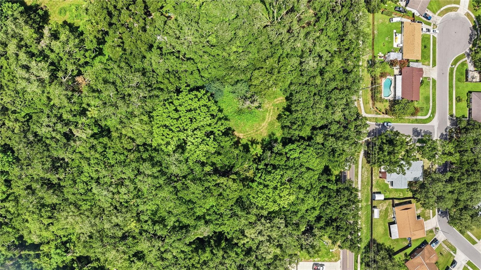 11211 CLAY PIT RD — photo 8
