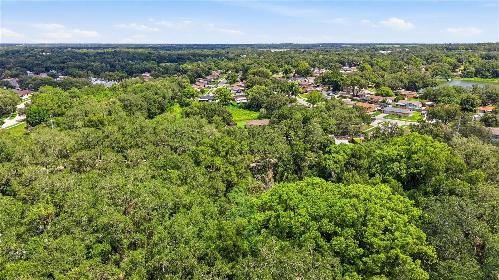 11211 CLAY PIT RD — photo 3