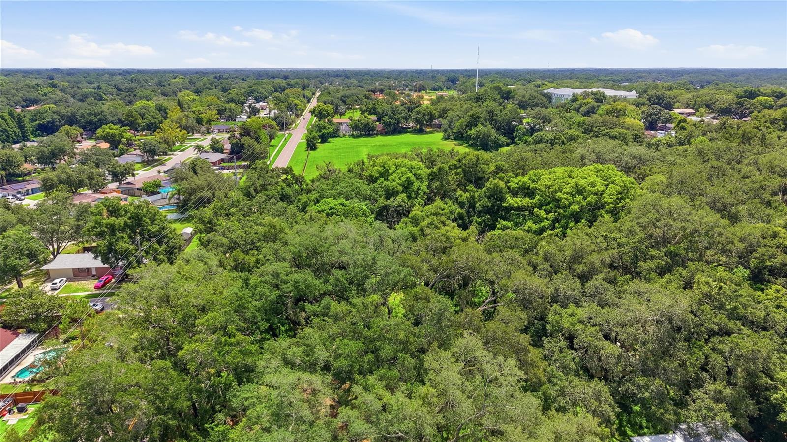 11211 CLAY PIT RD — photo 19