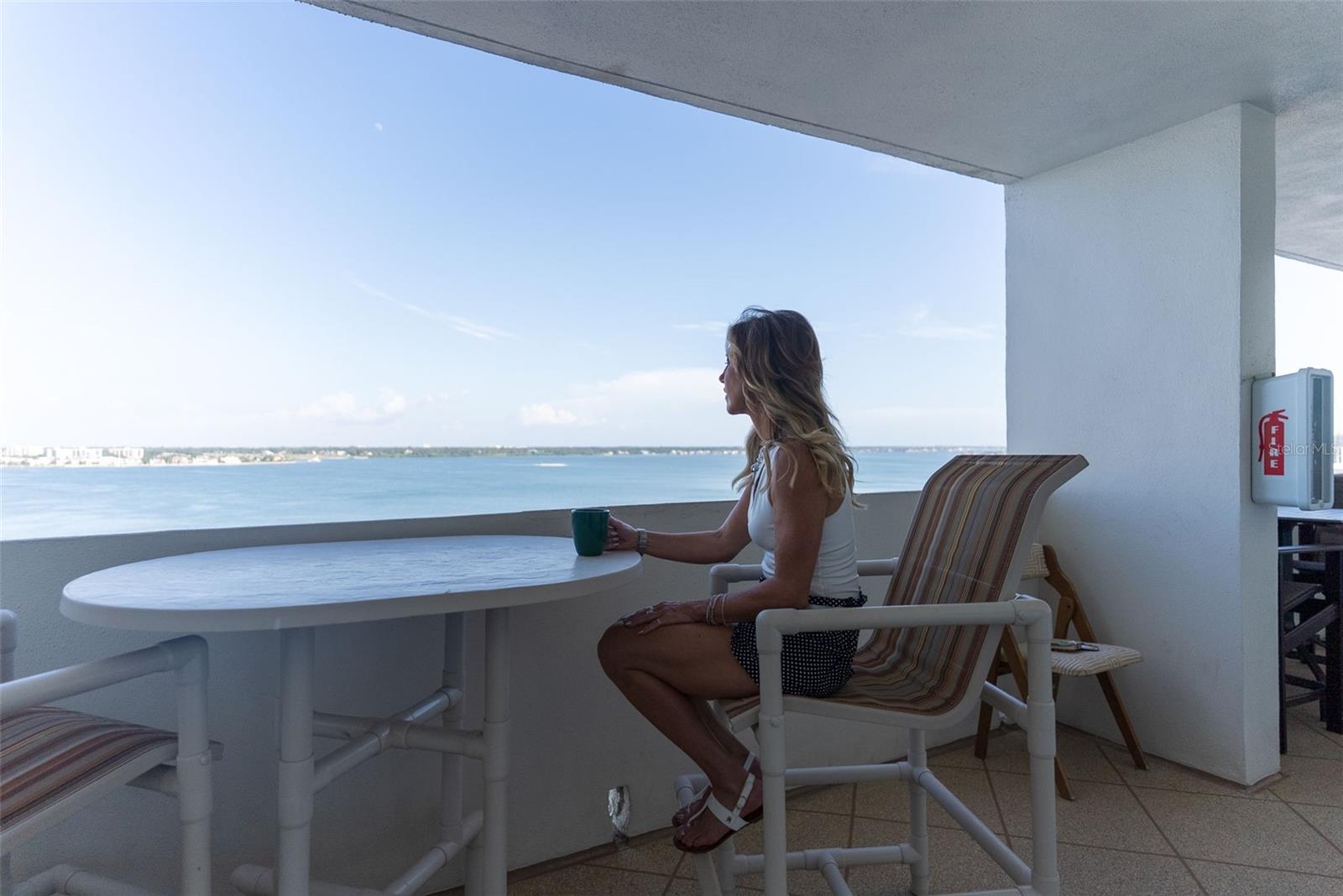 1230 GULF BLVD #1204 — photo 45