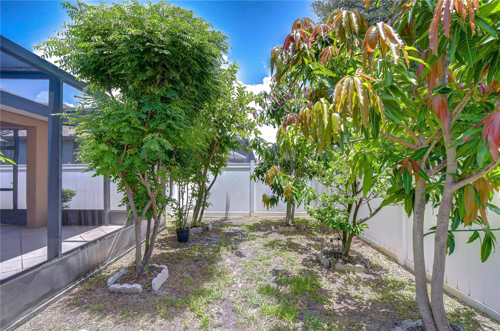 8443 WHITE POPLAR DR — photo 73