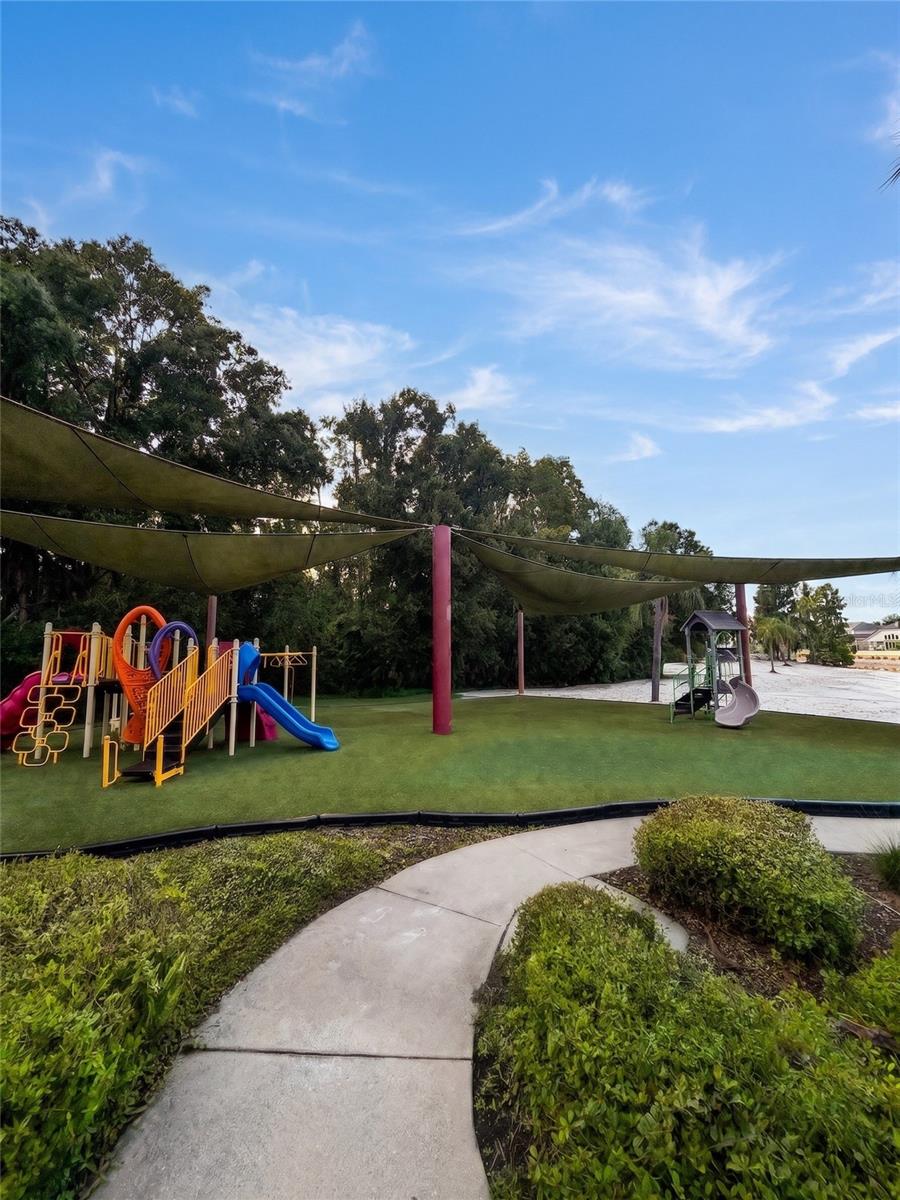 10864 CORY LAKE DR — photo 41