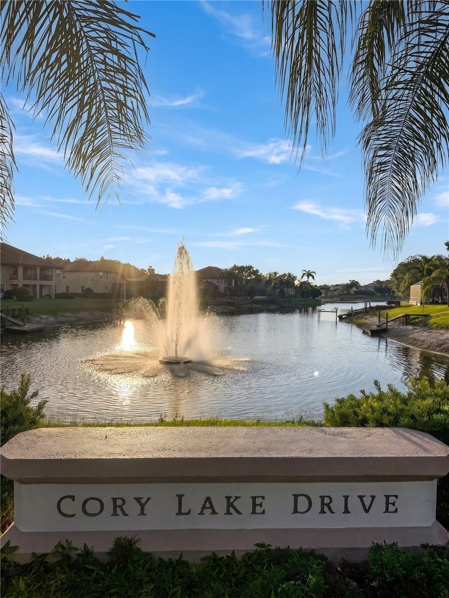 10864 CORY LAKE DR — photo 47