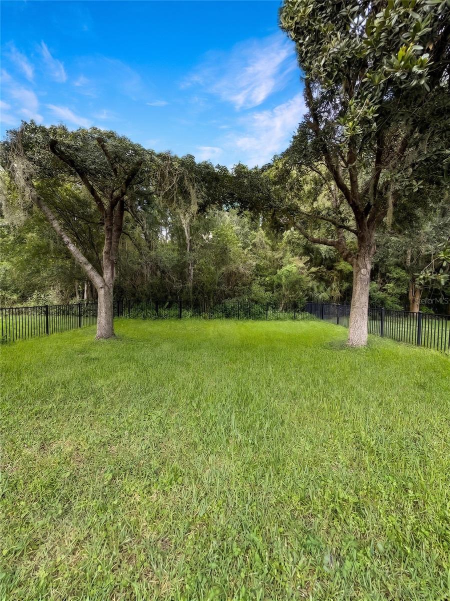 10864 CORY LAKE DR — photo 35