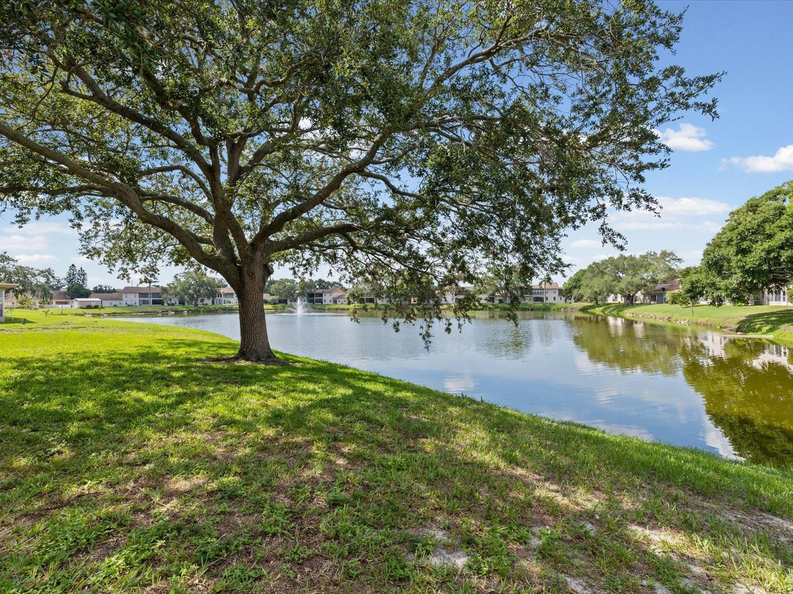 3806 STAYSAIL LN — photo 6