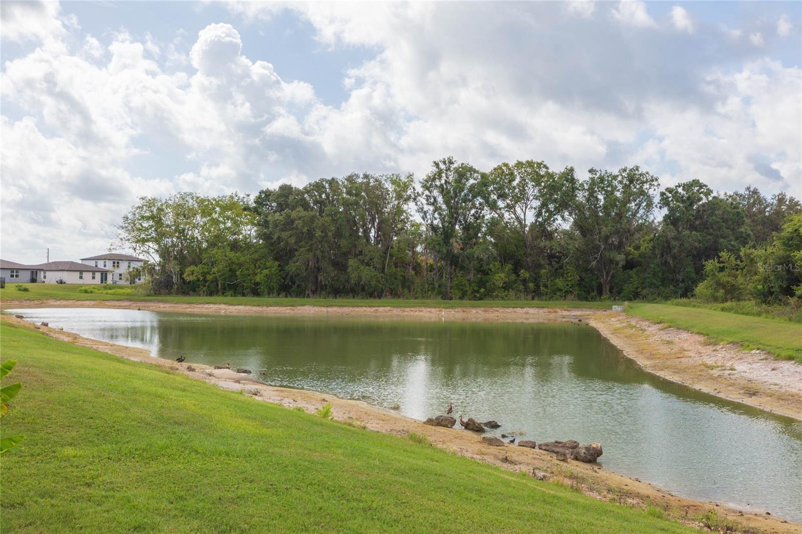 38794 OPAL WILLOW LN — photo 43