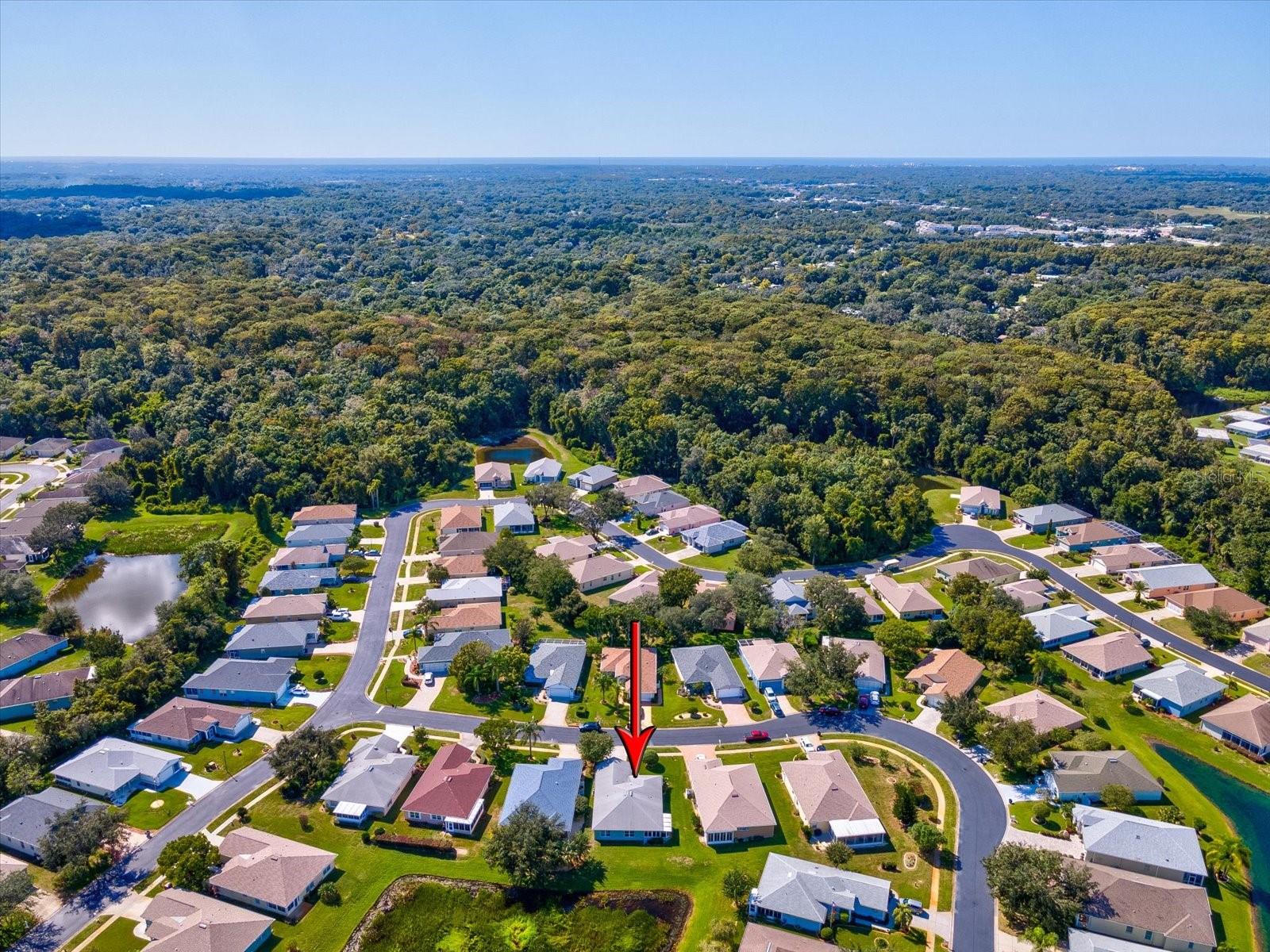 11404 TURTLE DOVE PL — photo 41
