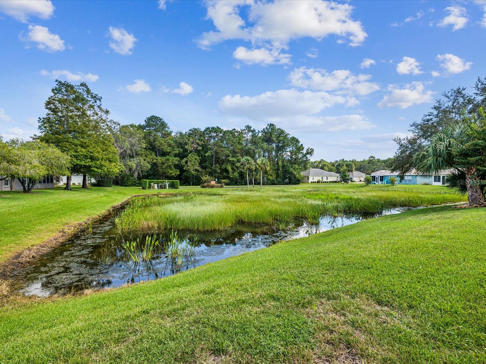 11404 TURTLE DOVE PL — photo 35