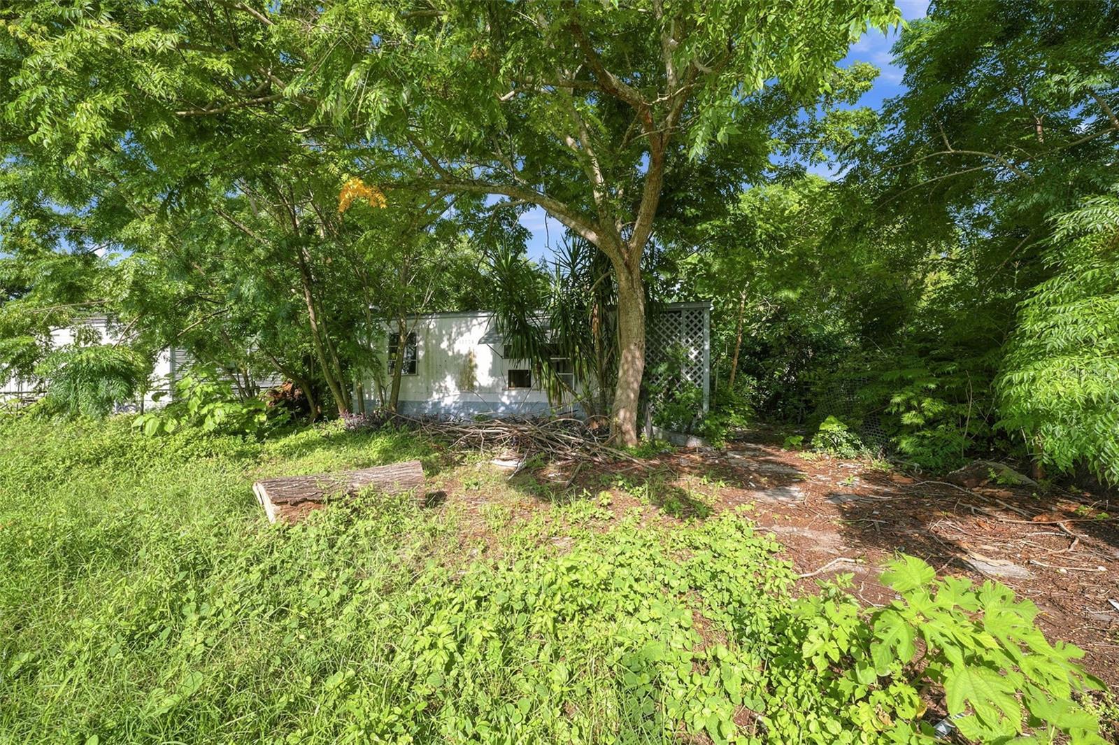 13129 CLERMONT ST — photo 2