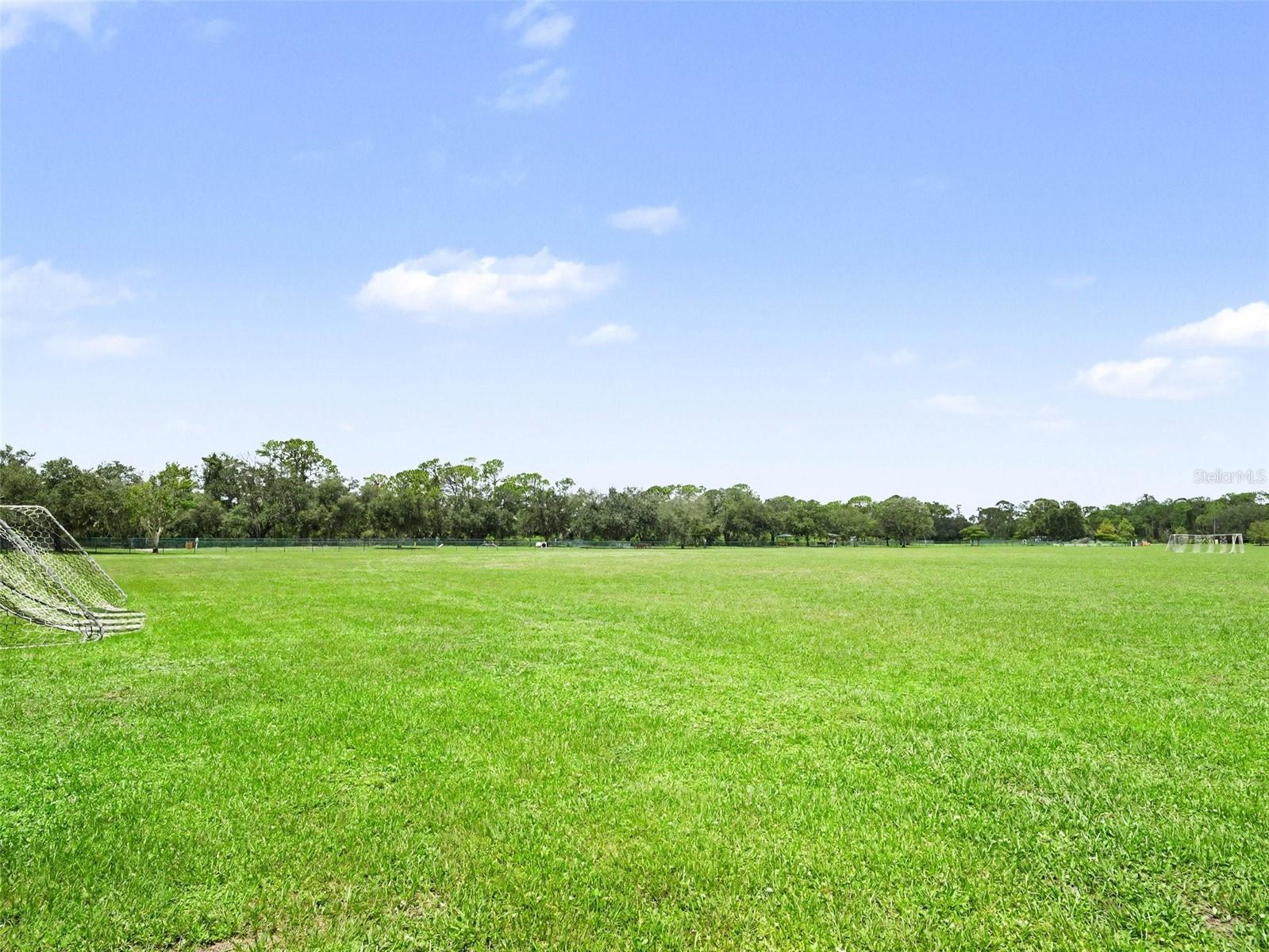 14146 CATTLE EGRET PL — photo 41