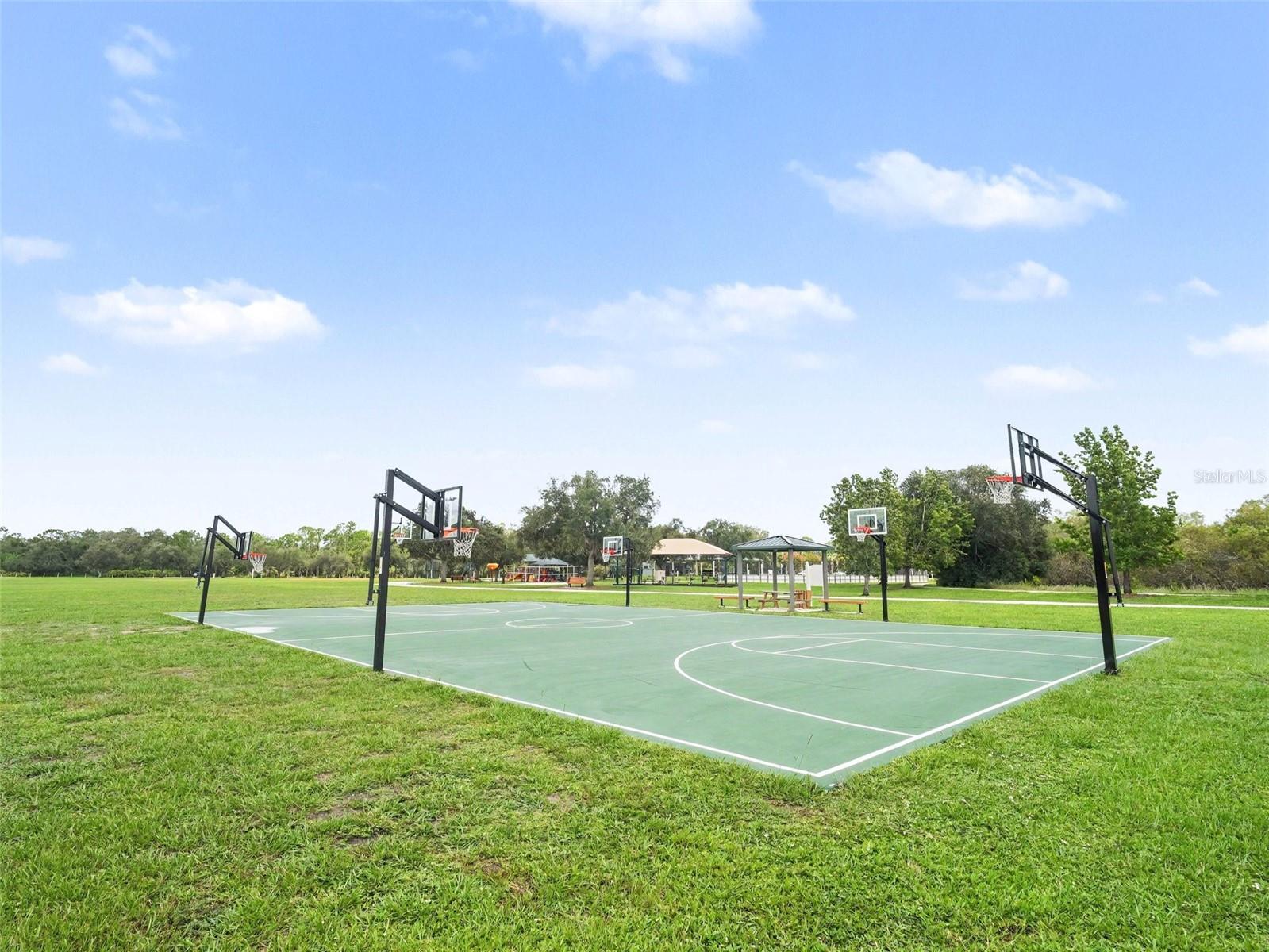 14146 CATTLE EGRET PL — photo 44