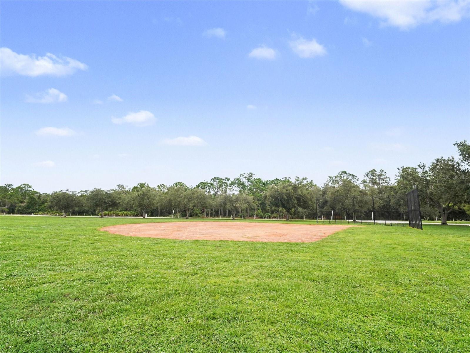 14146 CATTLE EGRET PL — photo 42