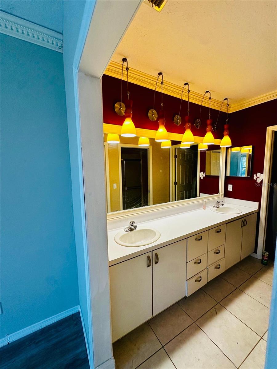801 SILVERTHORN LN — photo 11