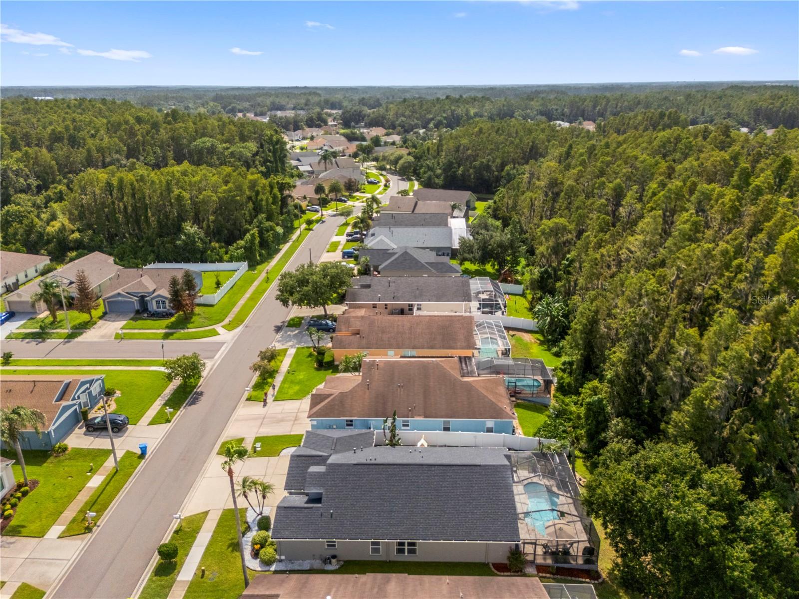 30923 IVERSON DR — photo 60