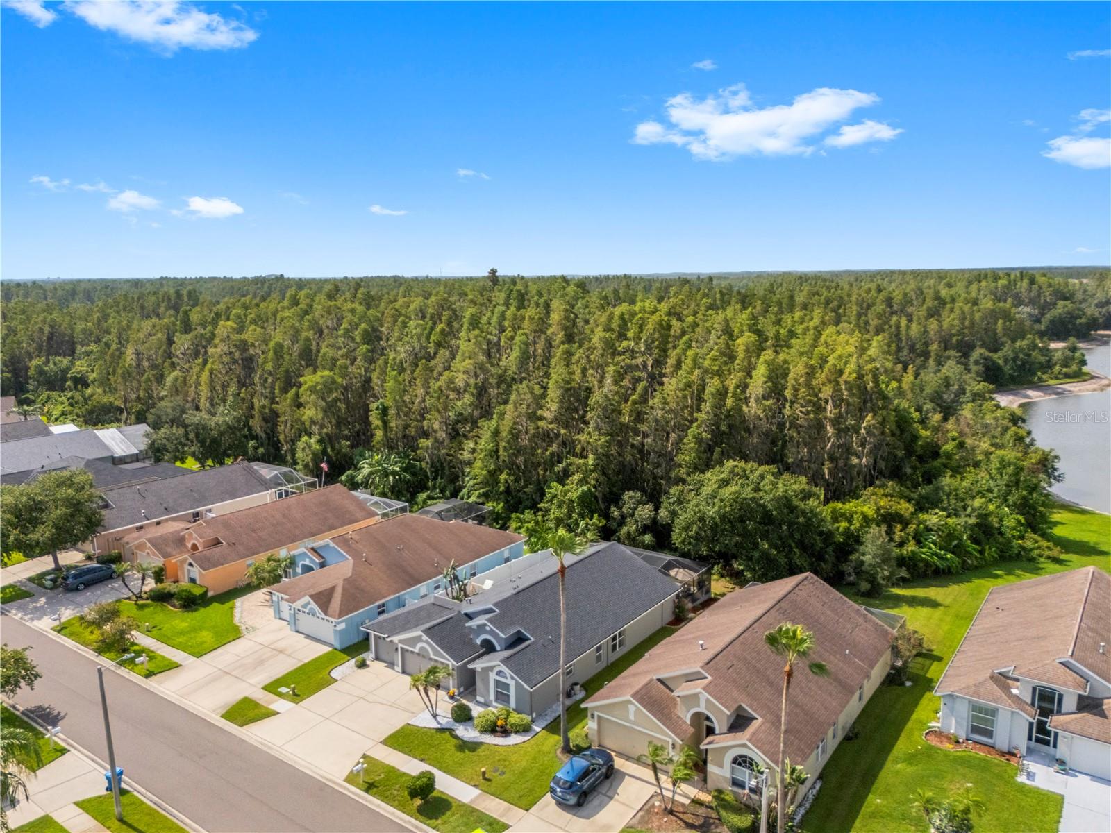 30923 IVERSON DR — photo 59
