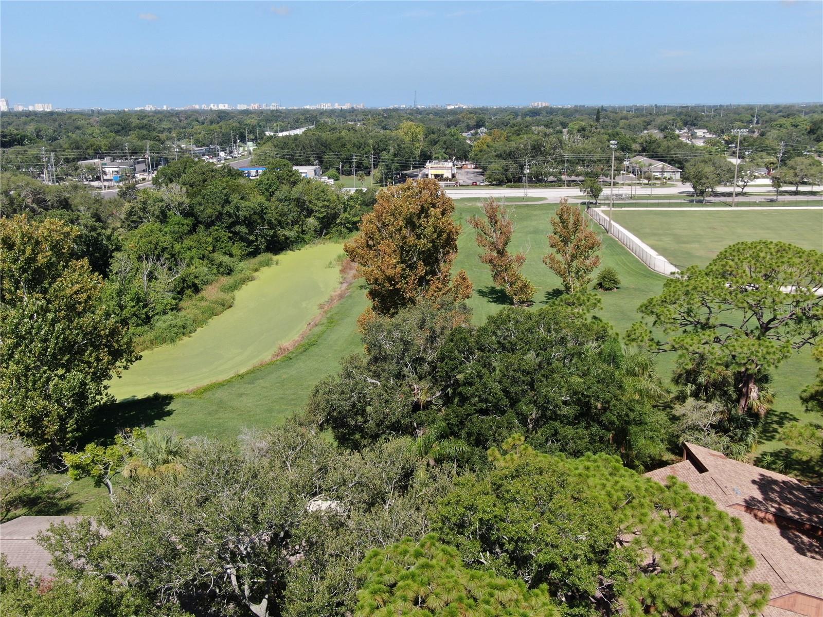 2054 SUNSET POINT RD #38 — photo 31