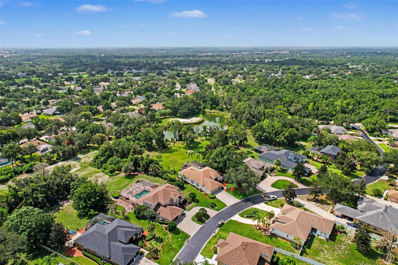2912 HAMPTON PLACE CT — photo 55