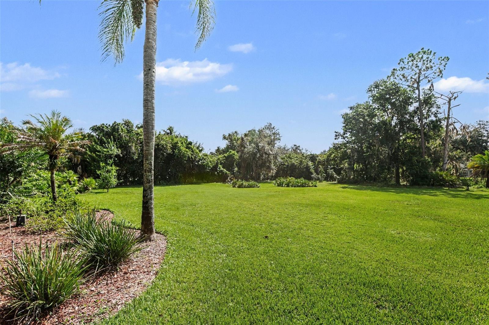 2912 HAMPTON PLACE CT — photo 44
