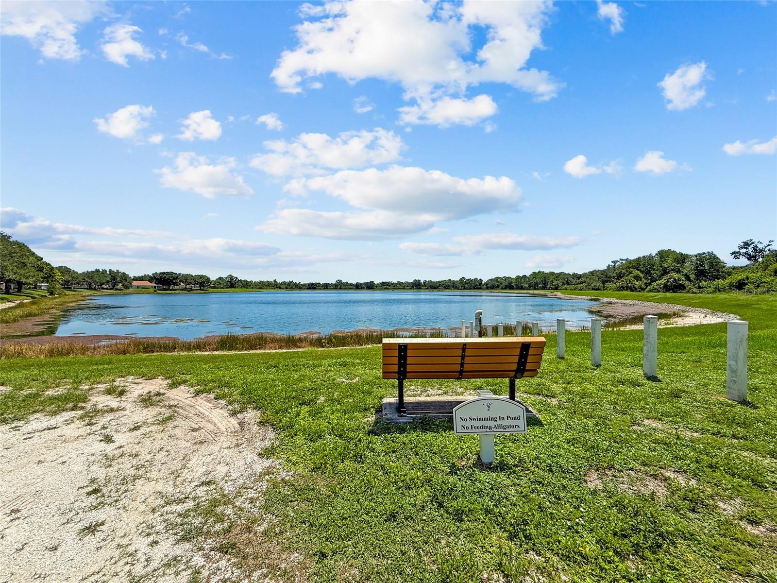 12530 ROCKROSE GLN — photo 43