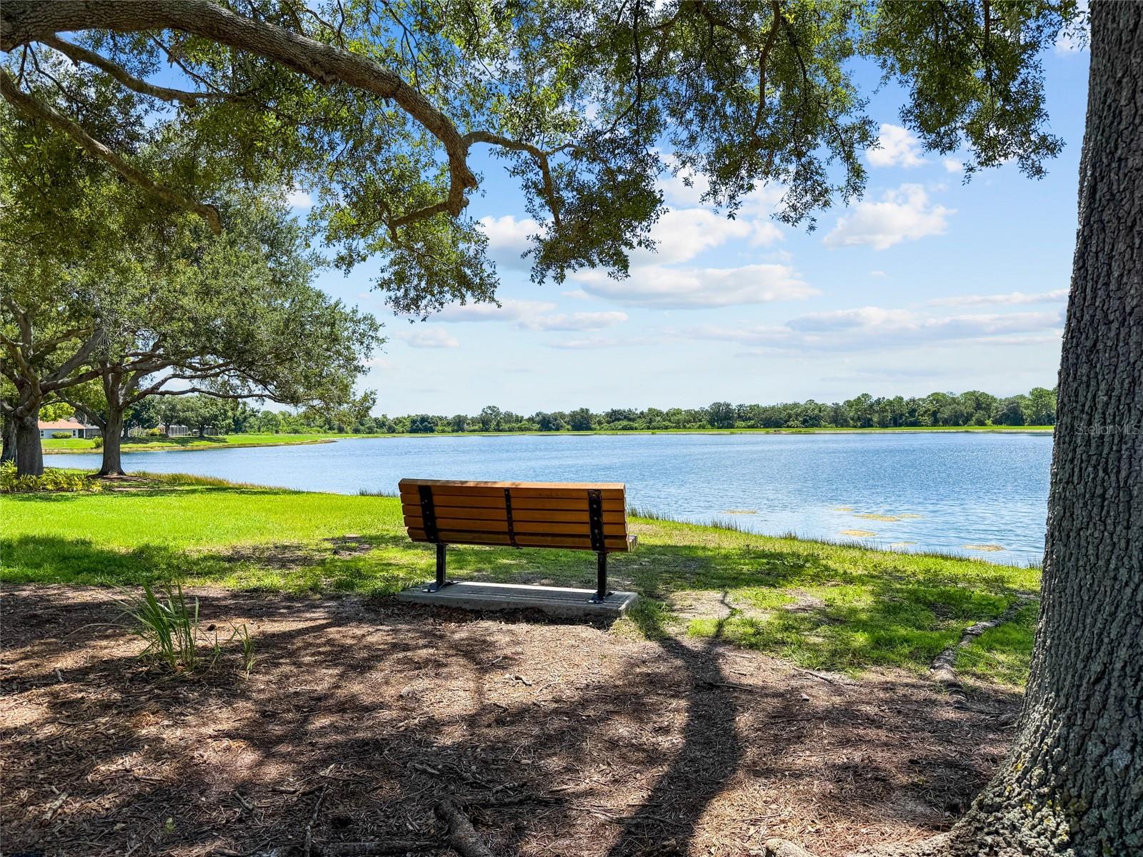 12530 ROCKROSE GLN — photo 46