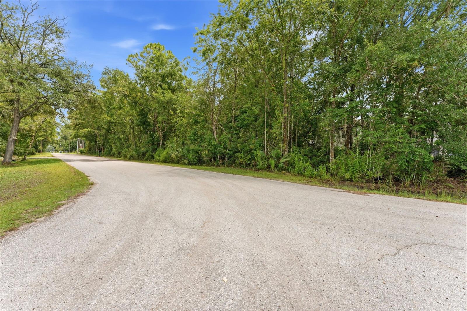 RAVEN BROOK RD — photo 4