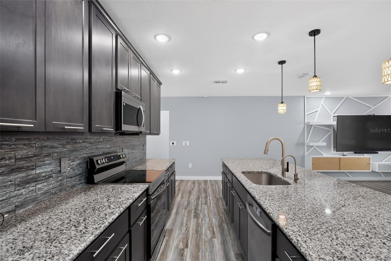 2595 HAGOPLAN LN — photo 15