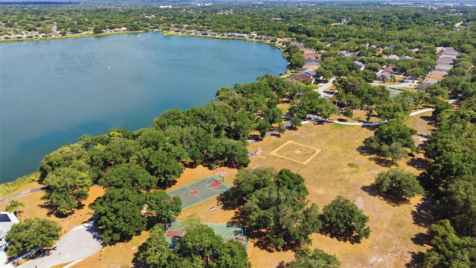 7113 COLONY POINTE DR — photo 46