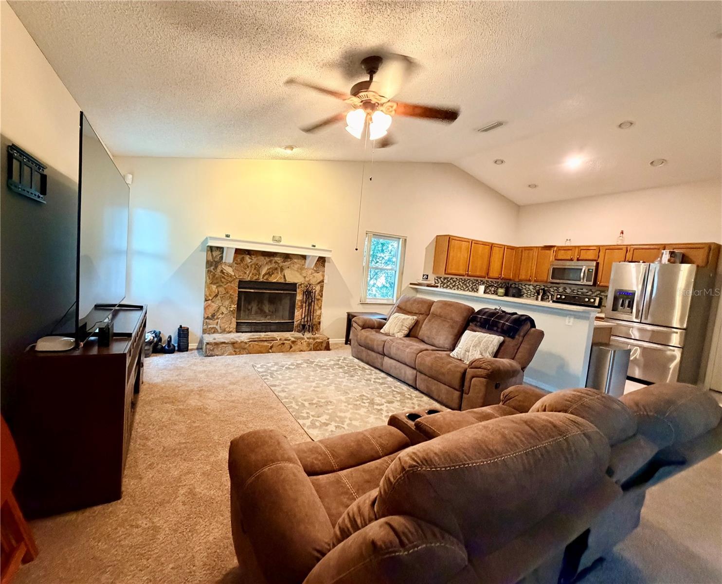 503 RAPID FALLS DR — photo 5