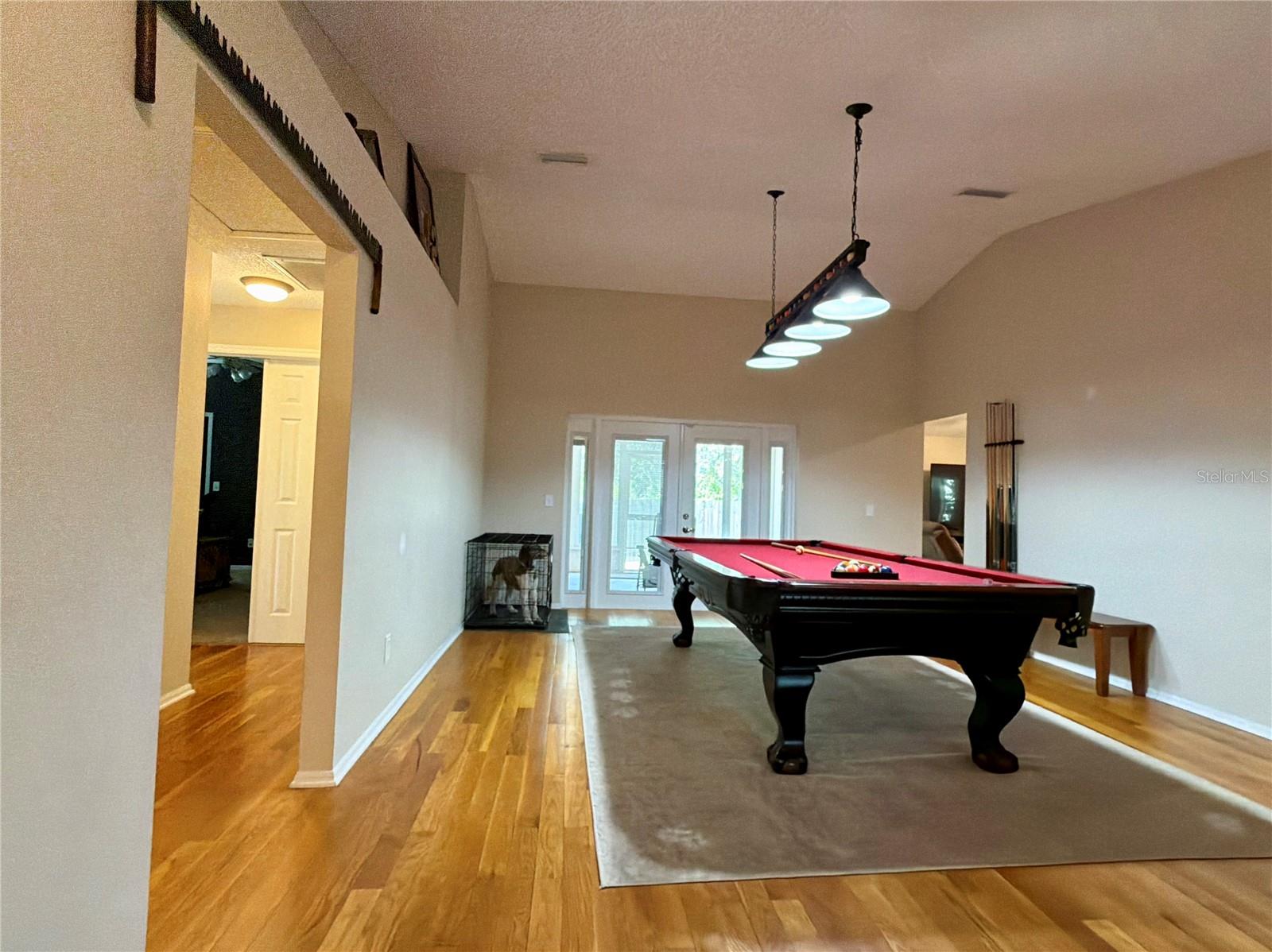 503 RAPID FALLS DR — photo 11