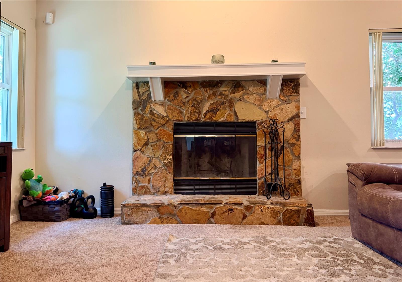 503 RAPID FALLS DR — photo 9