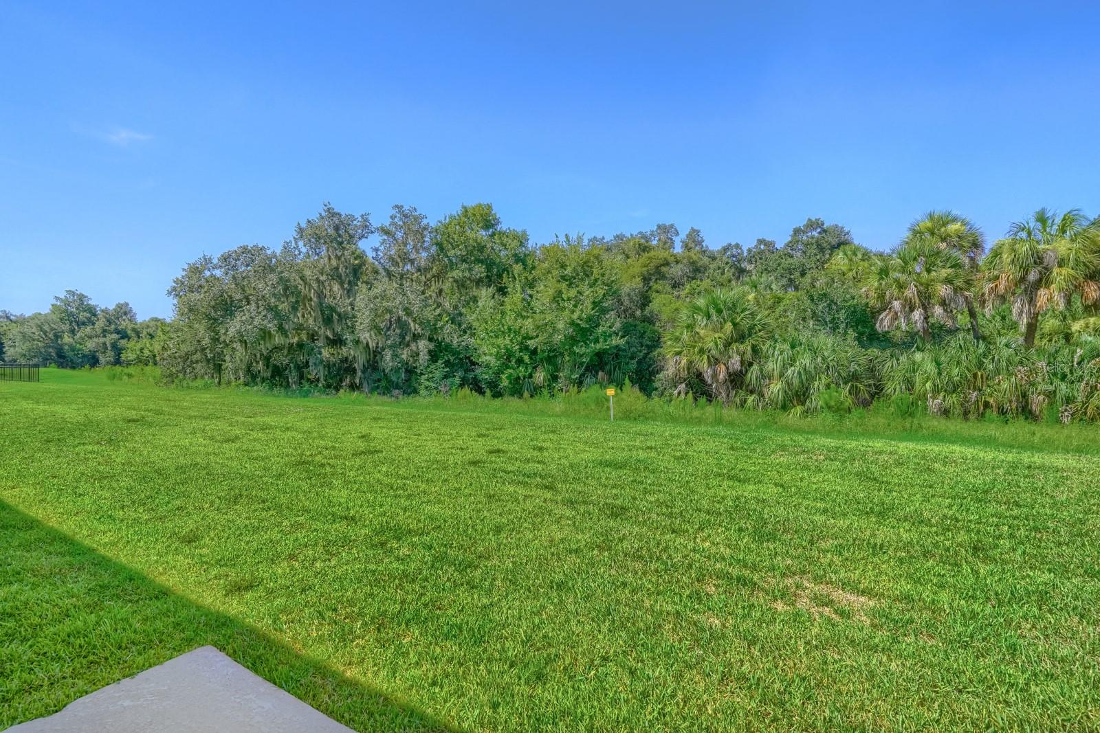 7705 SATTERFIELD TER — photo 26