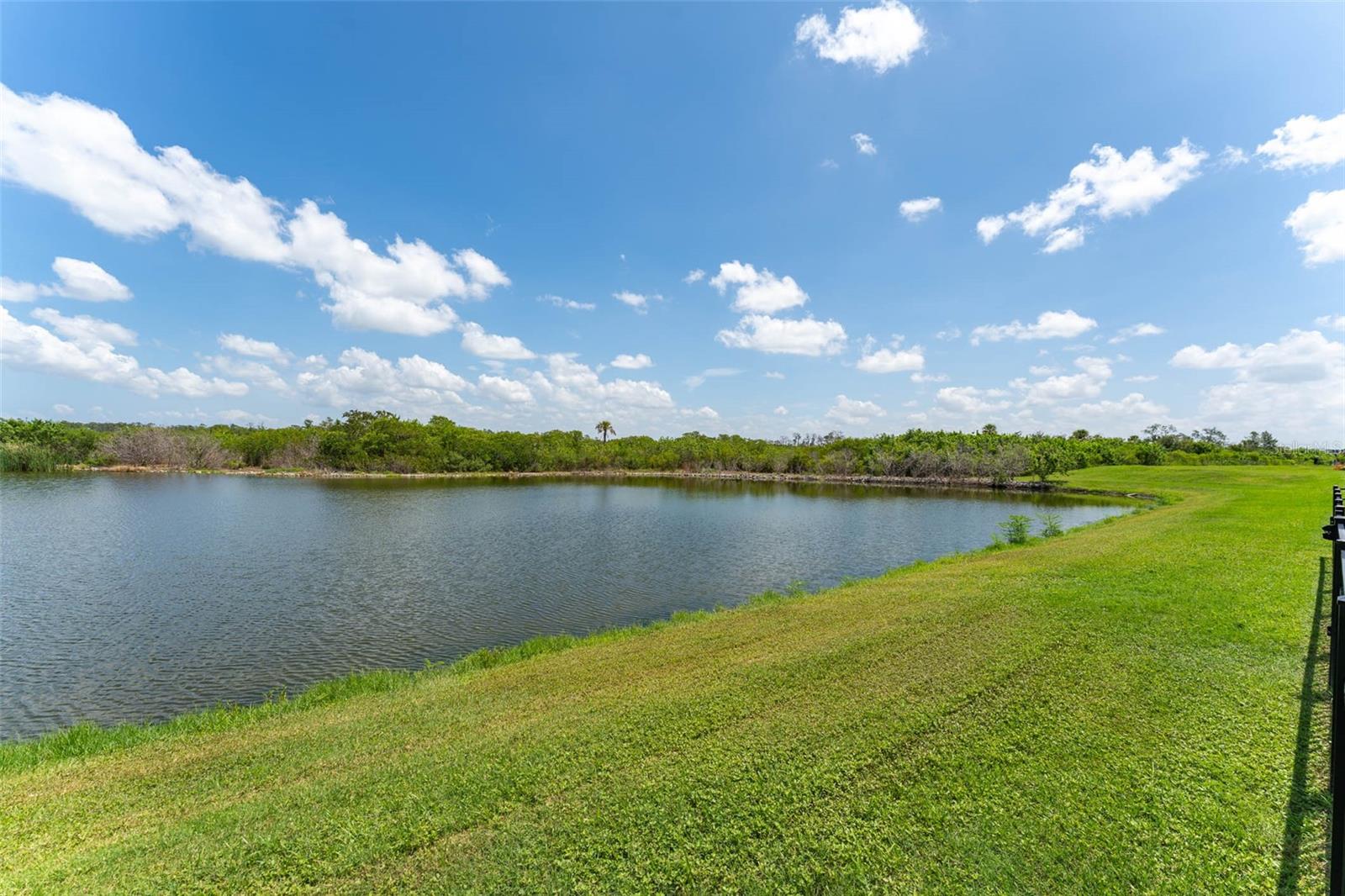 3719 LIVELY CORAL PL — photo 51