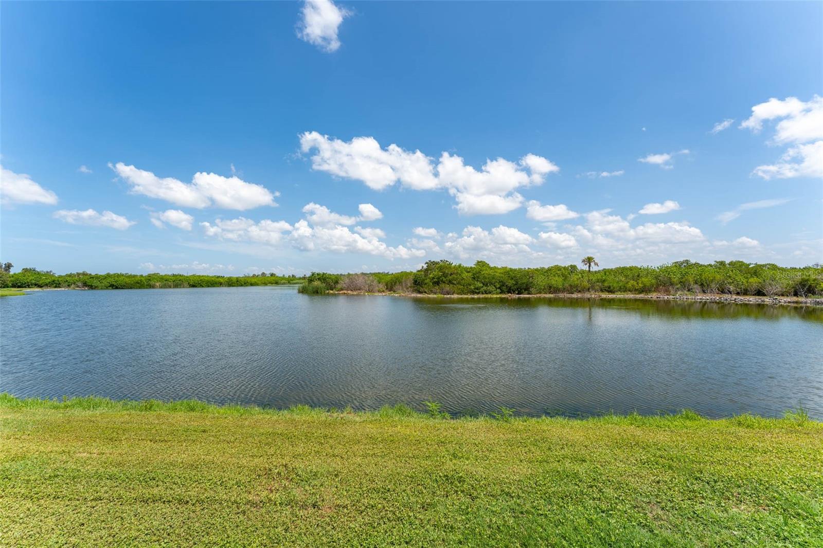 3719 LIVELY CORAL PL — photo 52