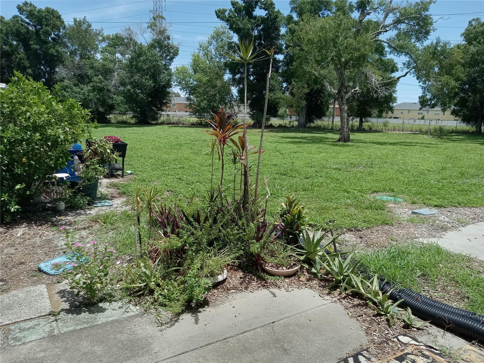 2464 AUSTRALIA WAY E #14 — photo 46