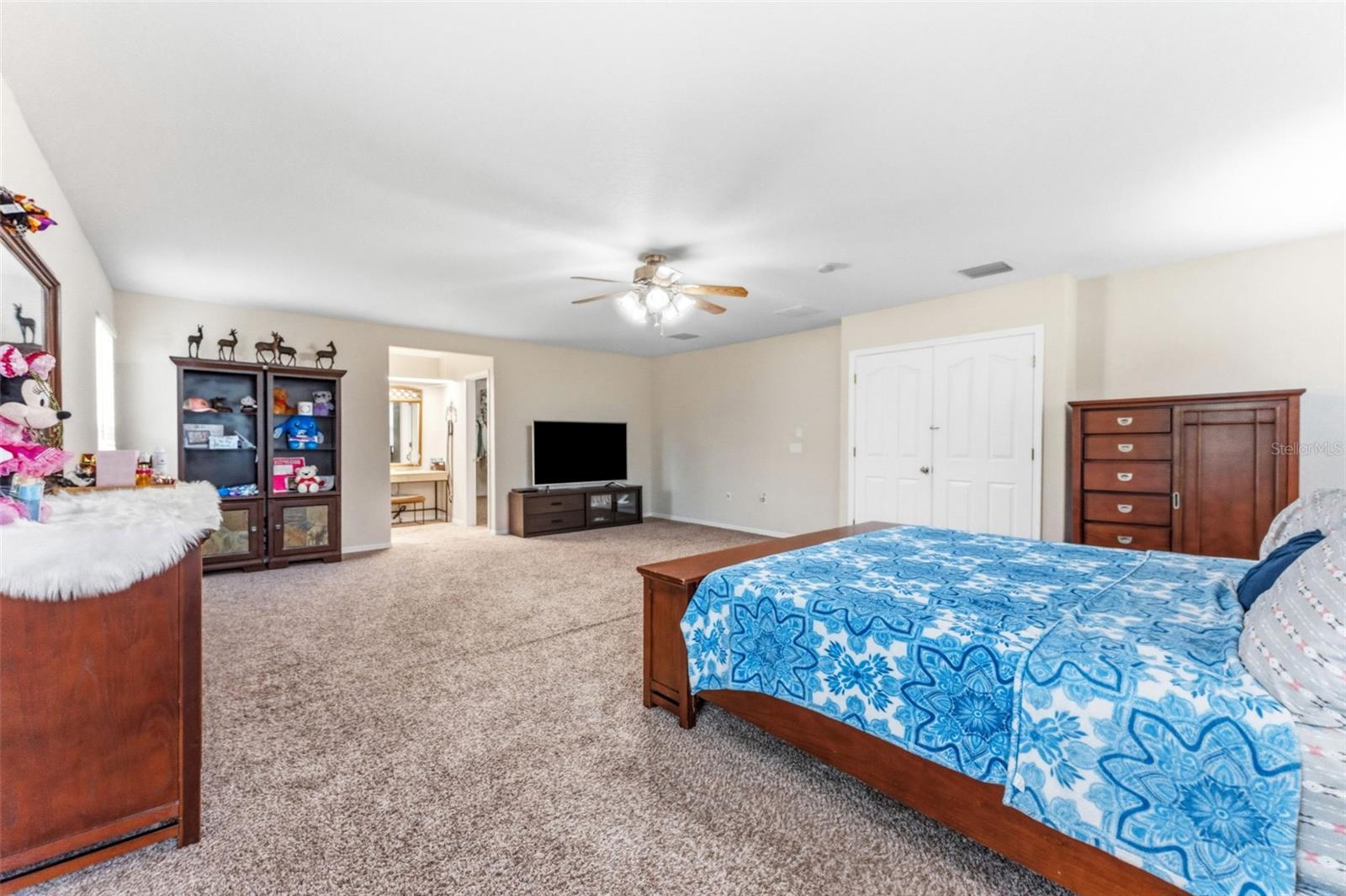 10319 BOYETTE CREEK BLVD — photo 26