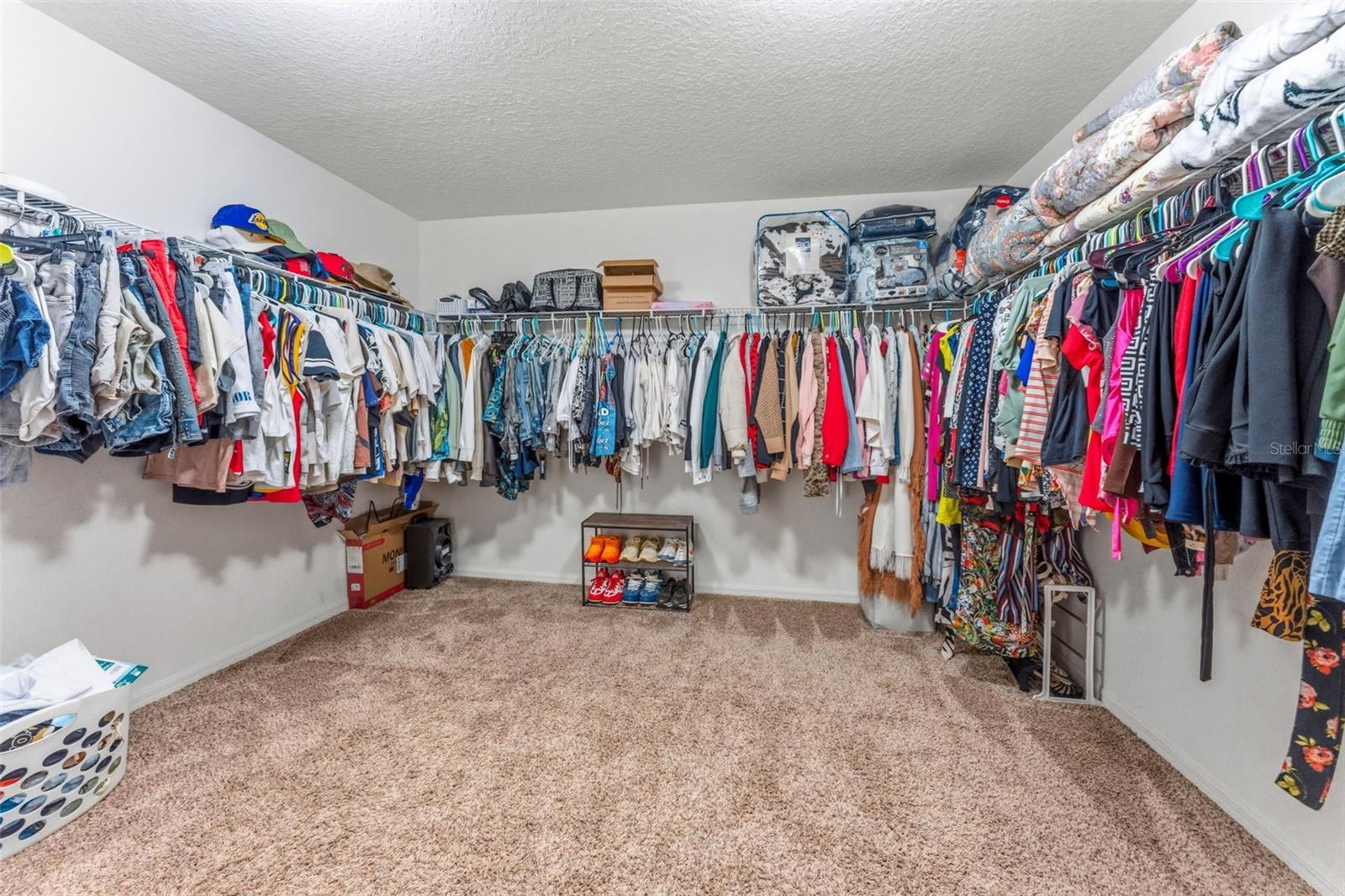 10319 BOYETTE CREEK BLVD — photo 32