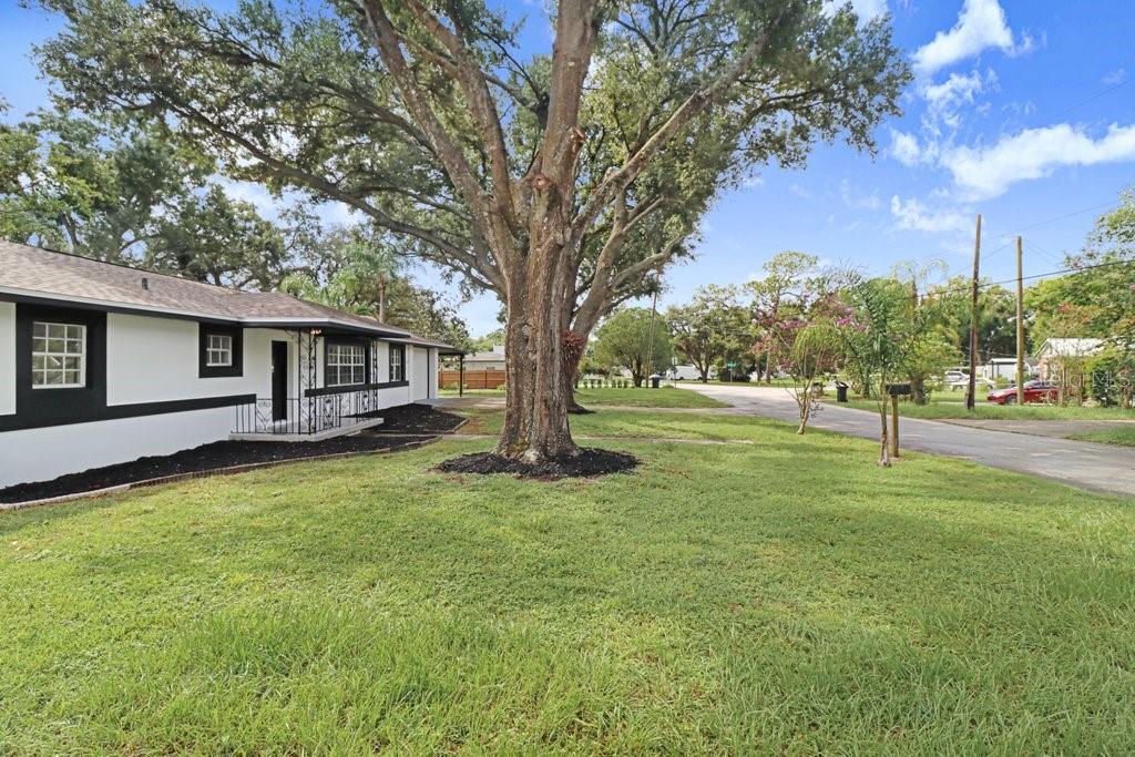 12113 MIDLAKE DR — photo 5