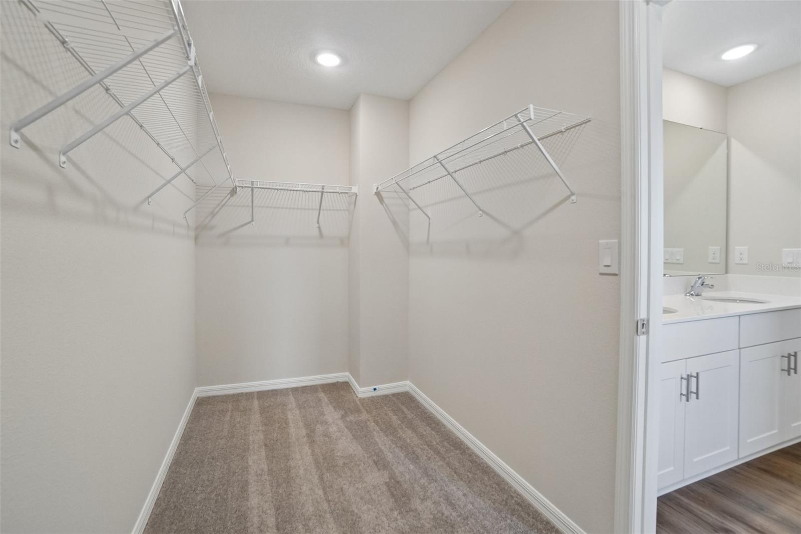 36564 SAGEMOOR DR — photo 9