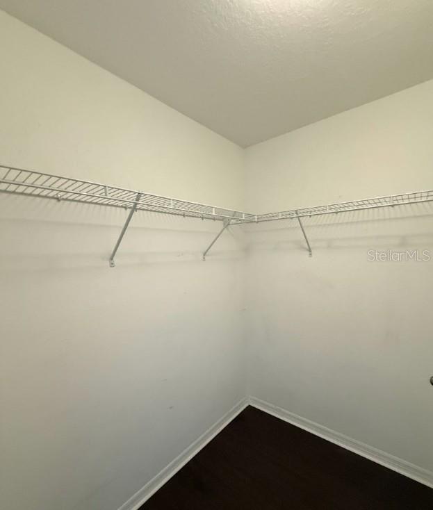 2807 LANTERN HILL AVE — photo 13