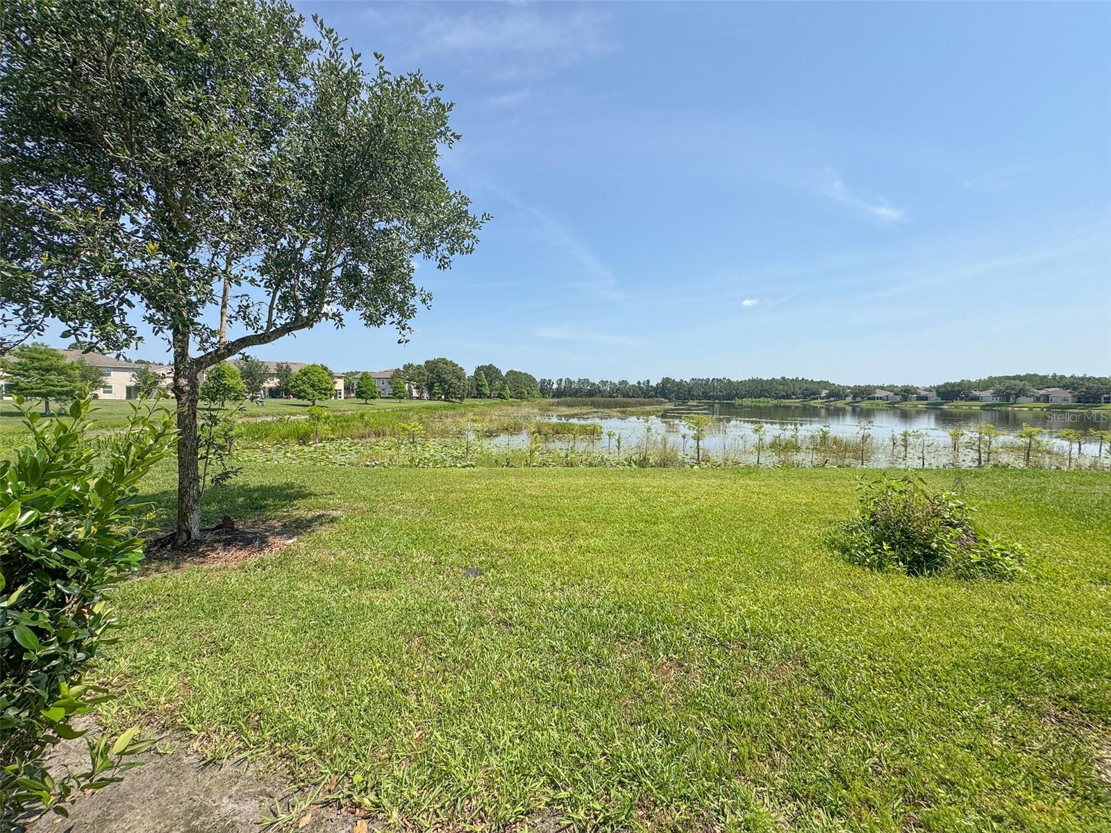 27015 JUNIPER BAY DR — photo 20