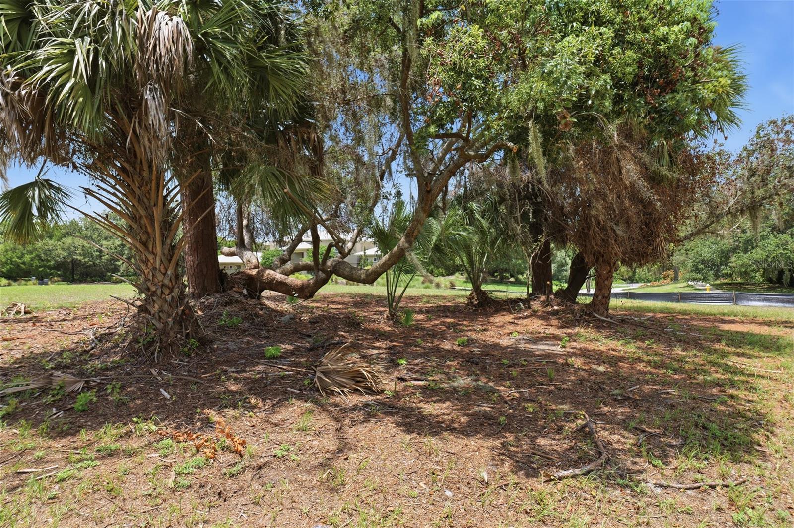 520 AUSTIN DR — photo 11
