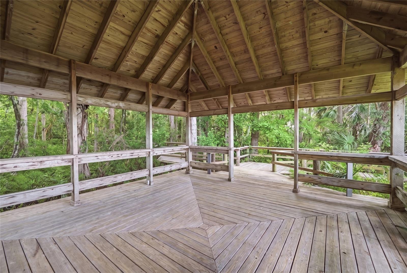 520 AUSTIN DR — photo 29