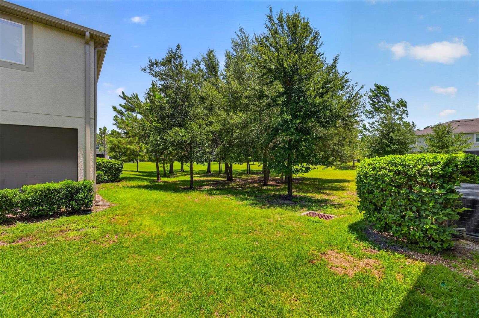 6231 SCARLET DARTER WAY — photo 25