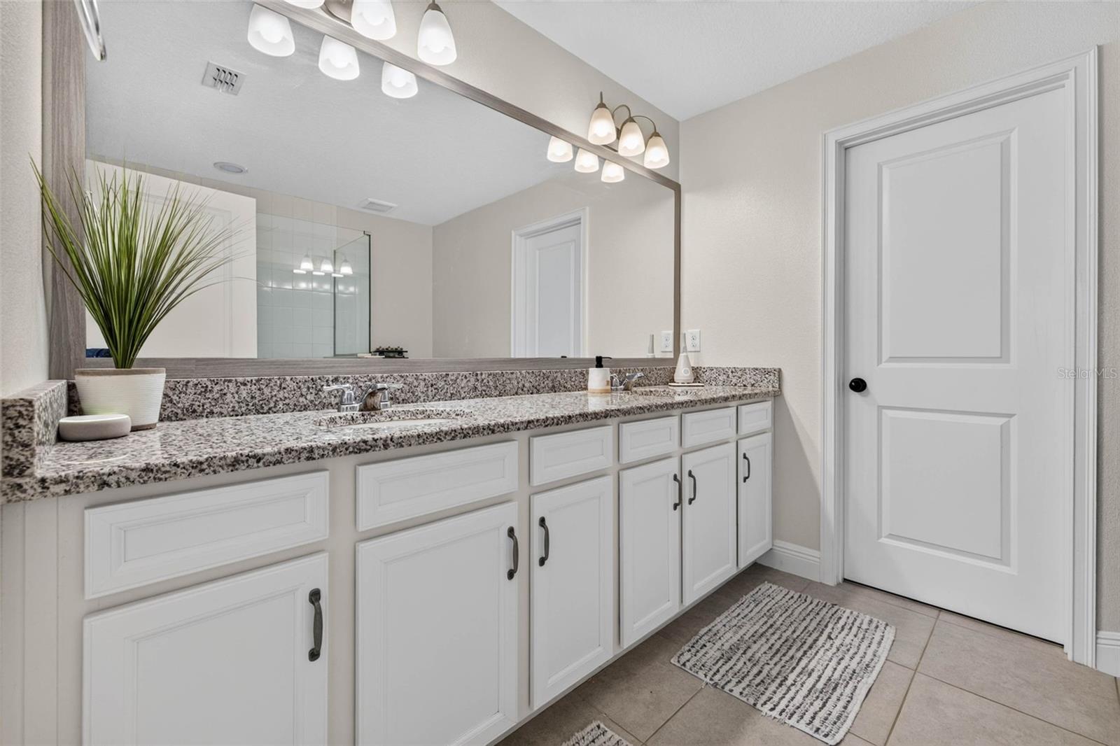 6231 SCARLET DARTER WAY — photo 17