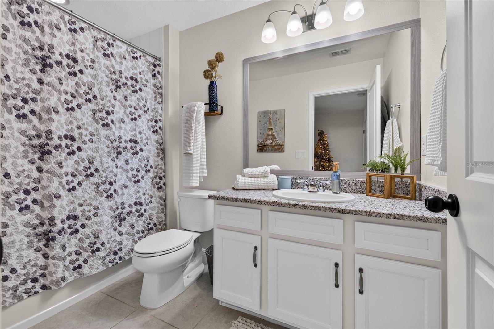 6231 SCARLET DARTER WAY — photo 20